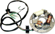 Wsm Stator Plate Assembly - Oem Replacement