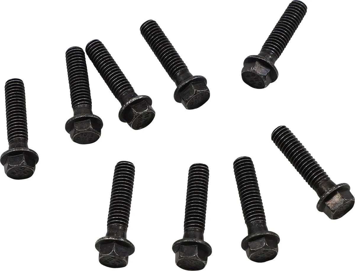 Moose Offroad Clutch Cover Screw