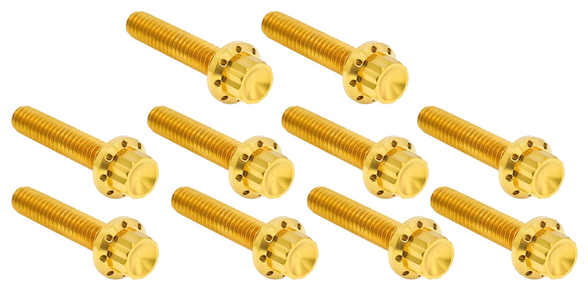 Arlen Ness Cam & Point Cover Titanium 12-POINT Bolt Kits – Hardware
