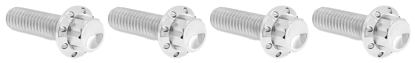 Arlen Ness Brake and Perch Titanium 12-POINT Bolt Kits – Hardware