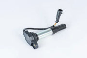 Beru Ignition Coil - High-performance 12v