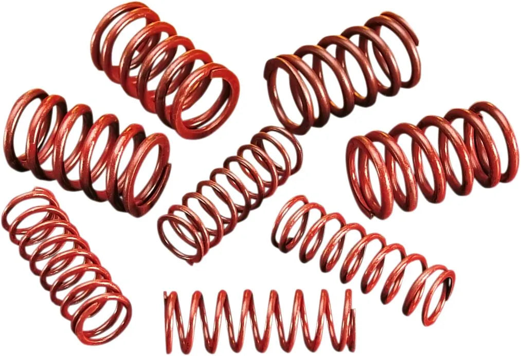 Andrews High-lift Valve Spring Kit .550"