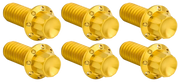 Arlen Ness Derby Cover Titanium 12-POINT Bolt Kits – Hardware