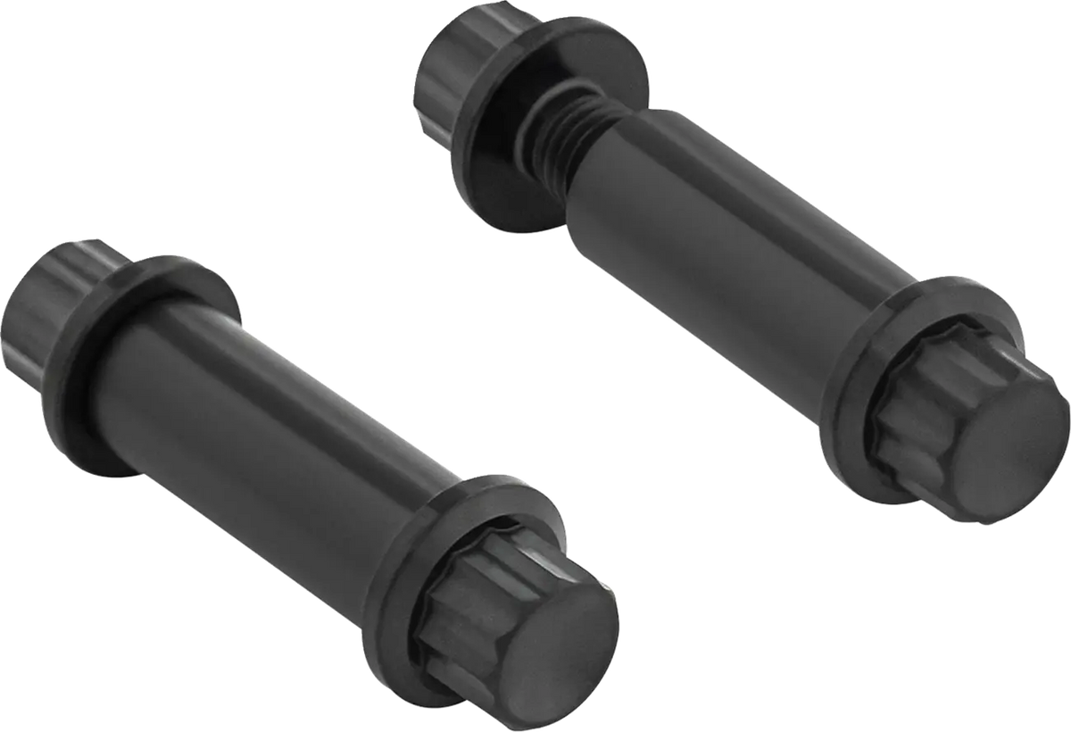 Arlen Ness Titanium 12-Point Foot Peg Bolt Kit Black Standard