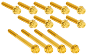 Arlen Ness Primary Cover Titanium 12-POINT Bolt Kits – Hardware