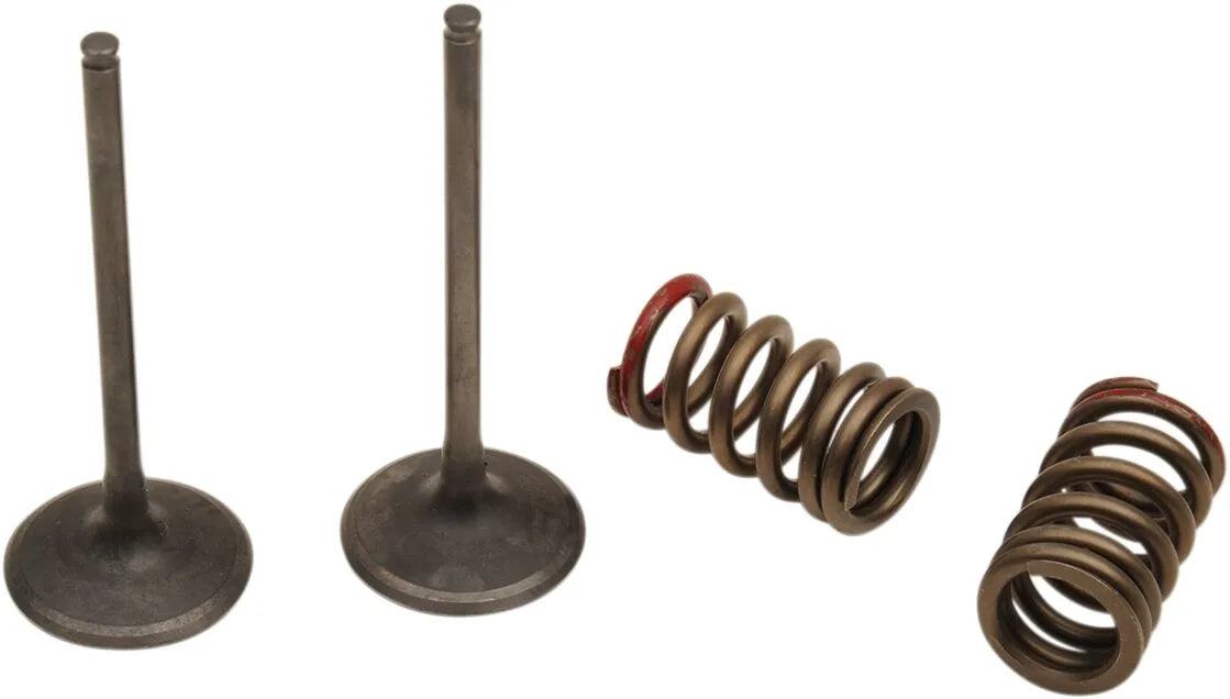 Prox Valve And Spring Kit - Steel, Nitrided Valves