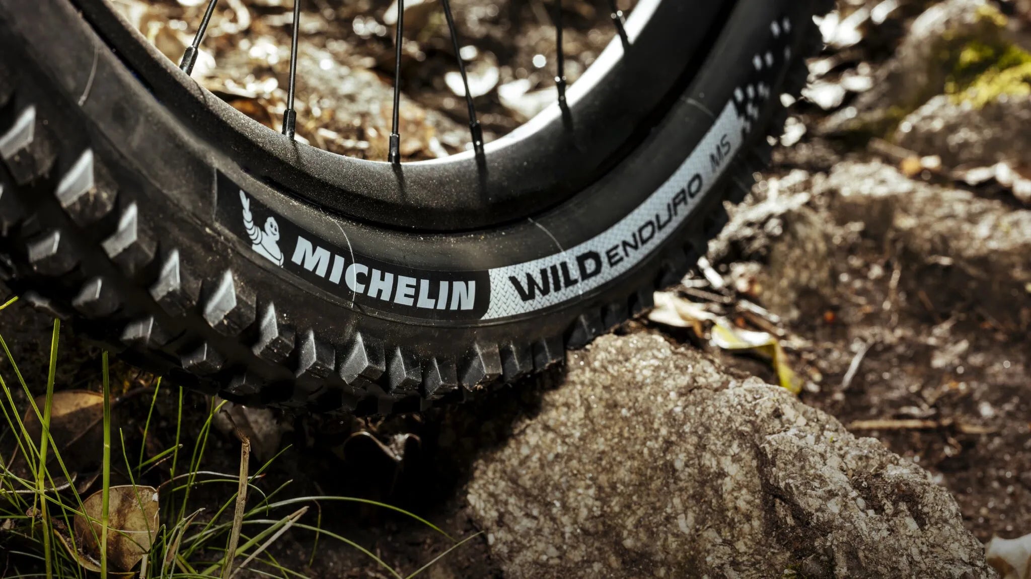 MICHELIN Wild Enduro MS Racing Tire for 29" x 2.40"