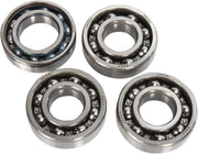 Hot Rods Counter Balancer Bearing Kit