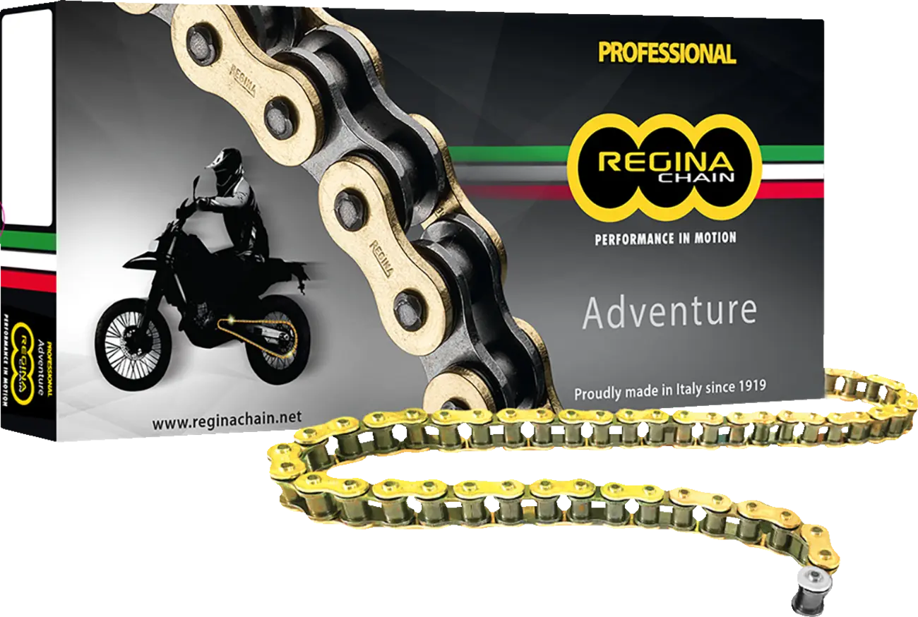 Regina 525 Zre Drive Chain