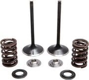 Kibblewhite Stainless Steel Intake Valve And Spring Kit