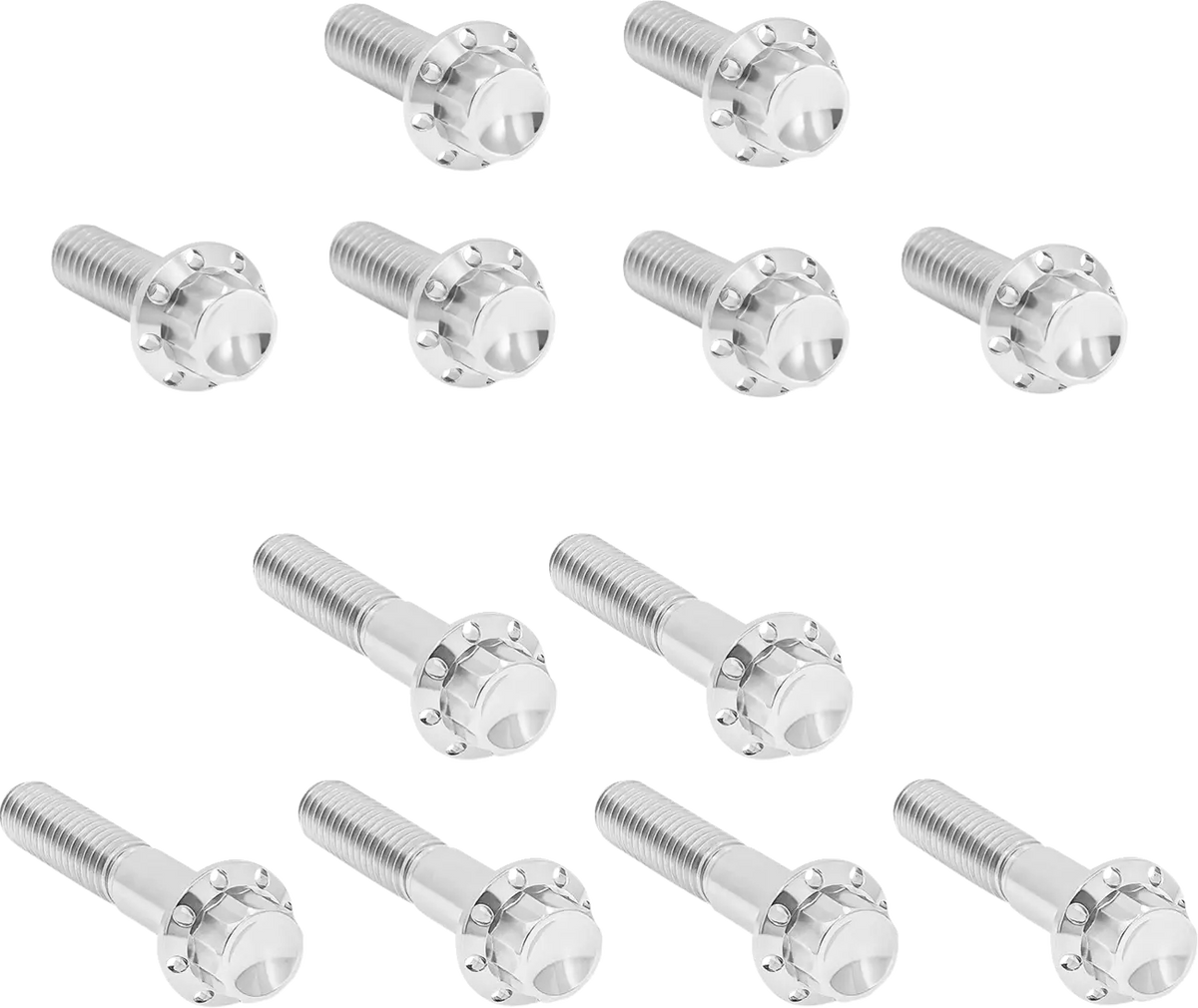 Arlen Ness 12-Point Titanium Rocker Box Bolt Kit Polish for Twin