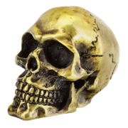 Zodiac Genuine Zodiac Skulls – Fender & Struts