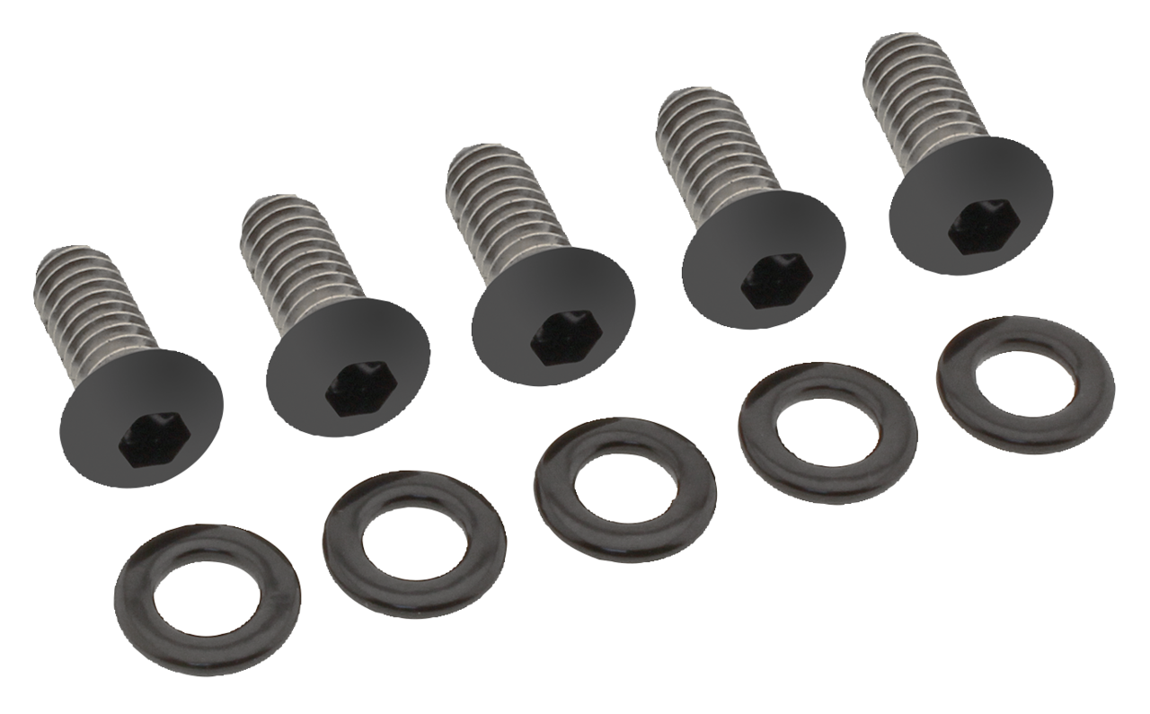 Screws4Bikes Black Stainless Steel Derby Cover Screws – Primary & Clutch