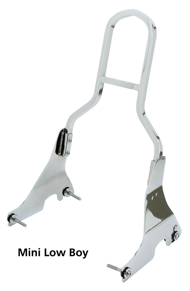 Zodiac Detachable Mini Low Boy Sissy Bars – Seat