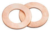 Daytona Outer Primary Starter Shaft Thrust Washers – Engine Electrics