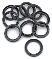 Zodiac Gasket Kits, Gaskets, Seals and O-Rings for V-Rod – Gasket & Seals