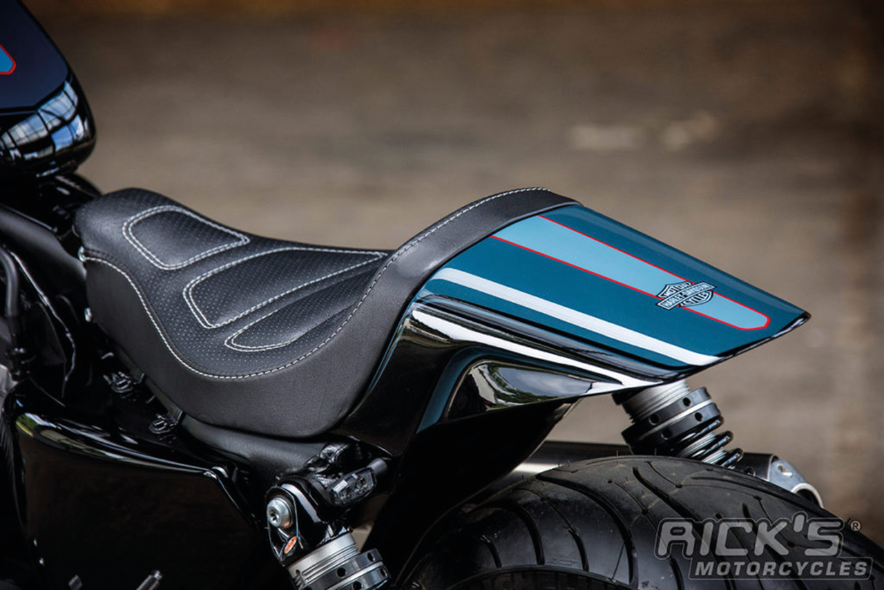 Rick's Motorcycles Rick’s Raceline Dirt Track Rear Fender Kit for Sportster – Fender & Struts