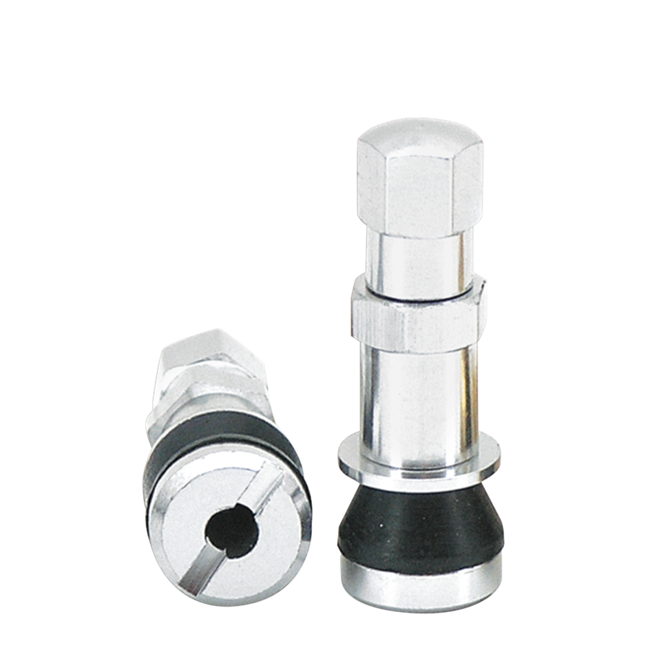 Zodiac Tubeless Tire Valves – Wheel & Tire