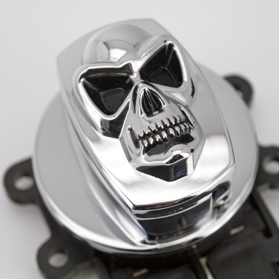 Zodiac Skull Ignition Switches – Electric & Light