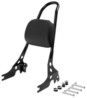 Zodiac Detachable One Piece Sissy Bar for Sportster – Seat