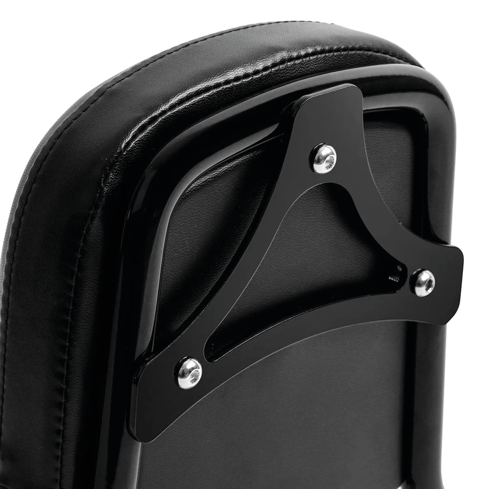 Zodiac Detachable One Piece Sissy Bar for Low Rider & Sport Glide – Seat