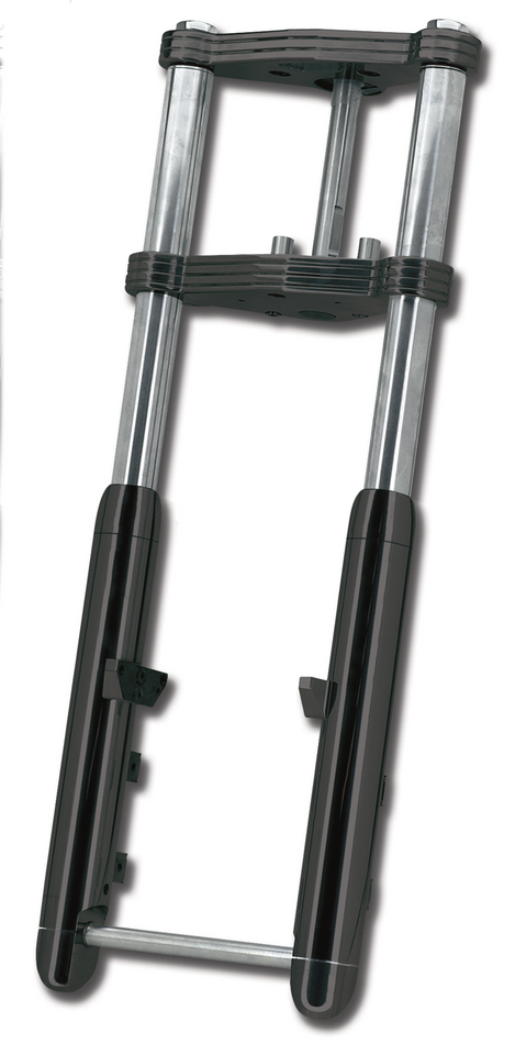 Zodiac Ton Pels Signature "naked Bubba" Front Forks