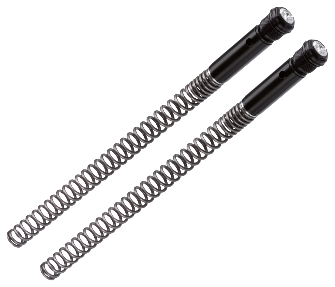 Bitubo Preload Adjustable Front Lowering Kit – Front Forks