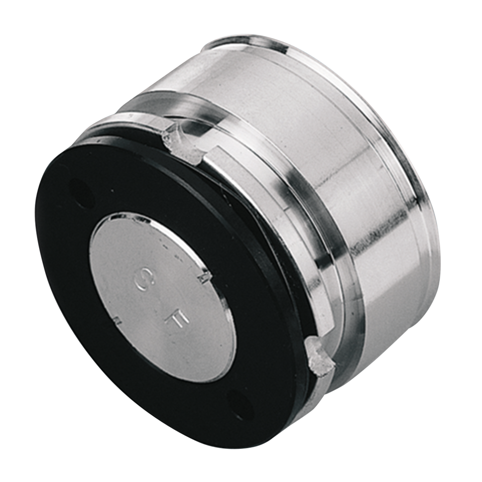 Daytona Brake Caliper Pistons