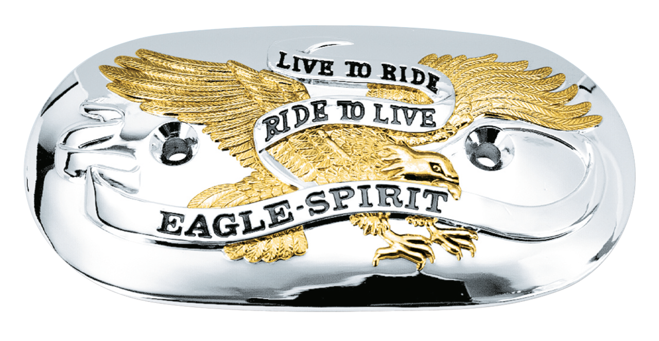 Zodiac Eagle Spirit Air Cleaner Insert – Intake