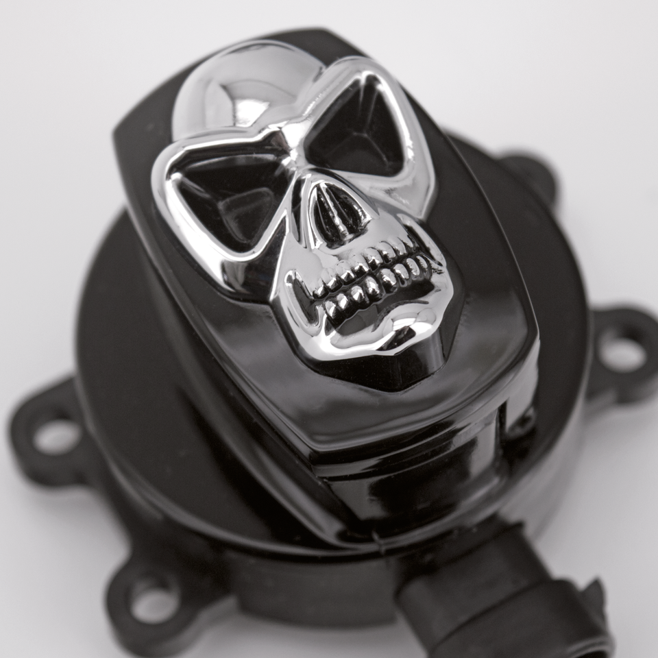 Zodiac Skull Ignition Switches – Electric & Light