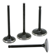 AV&V Extreme Duty Valves – Engine
