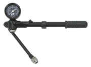 Progressive Suspension Gauge-Mounted Air Pumps – Tools & Chemicals