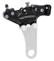 Beringer Brake System