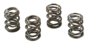 Andrews High Lift Valve Springs for Shovelheads – Engine