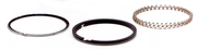 Hastings Piston Ring Sets – Engine
