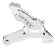 Beringer Brake System