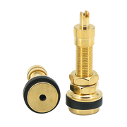 Zodiac Tubeless Tire Valves – Wheel & Tire