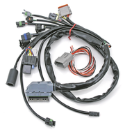 S&S Custom Delphi-Style EFI Wiring Harness – Intake