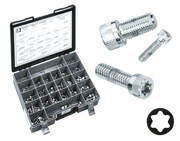 Midwest Acorn Nut Company Chrome Plated Torx Head Screws Assortment – Hardware