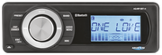 Aquatic Factory Replacement Stereo for Touring – Helmets