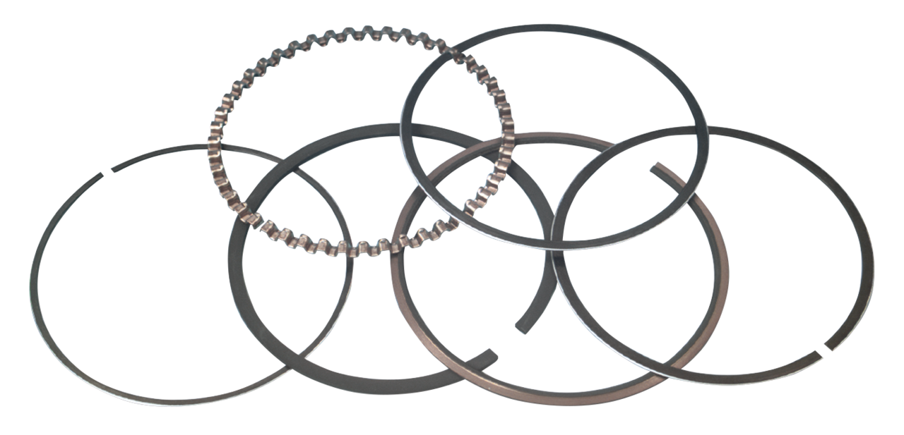 Zodiac Piston Rings for Wiseco Pistons – Engine