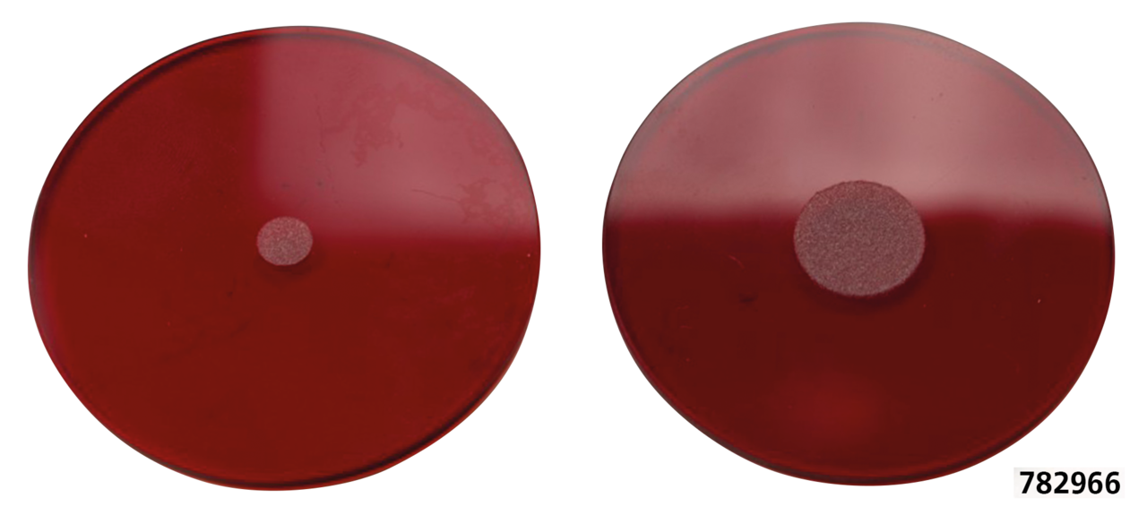Samwel Taillight for 1942 Wlc – Electric & Light
