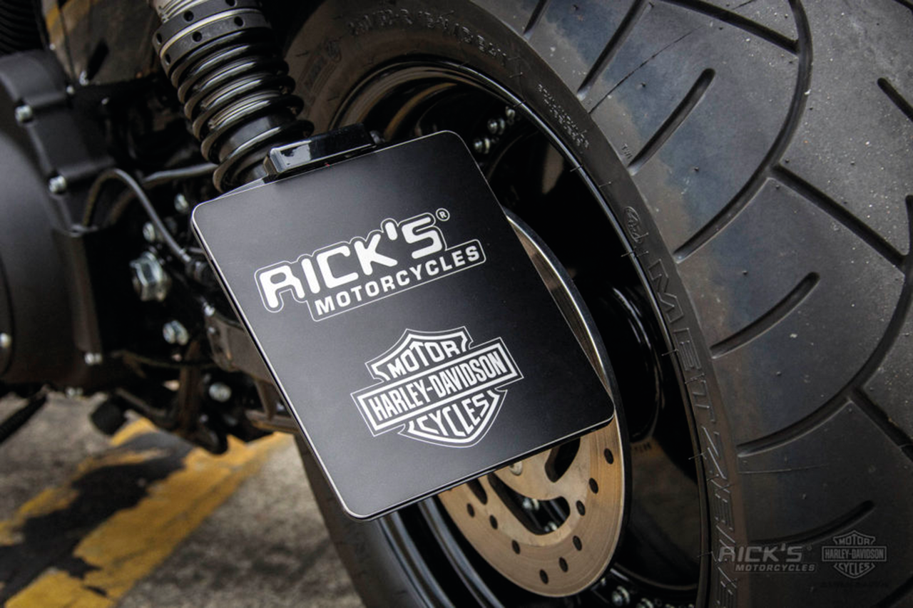 Rick's License Plate Side Mount Kit – Electric & Light