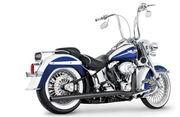 Freedom Performance Exhaust Blue-Proof Straights